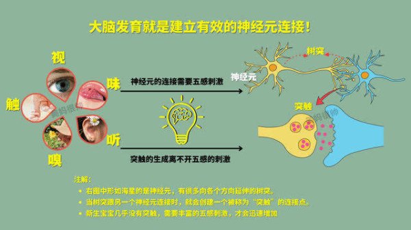 汇利资本 想孩子聪明智商高？做好这件事，打通大脑“任督二脉”