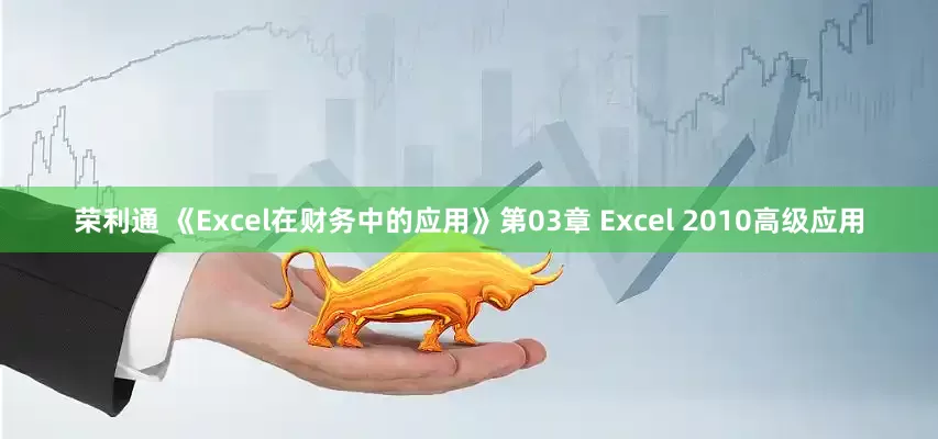 荣利通 《Excel在财务中的应用》第03章 Excel 2010高级应用